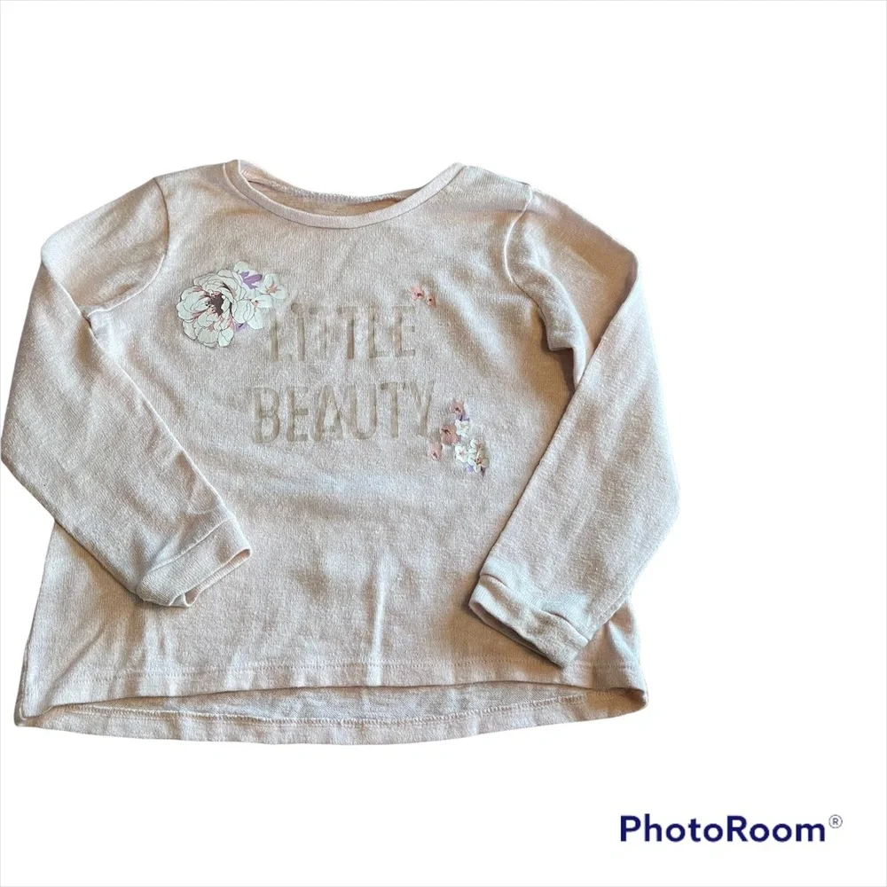 4T The Children's Place sweater